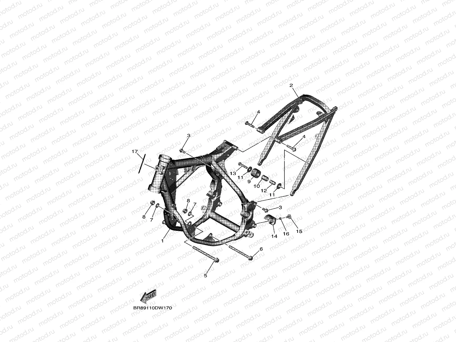 FRAME