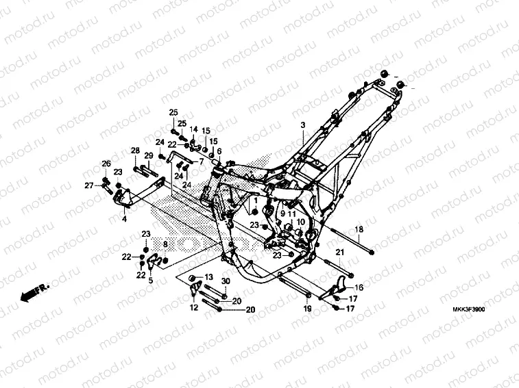 FRAME BODY