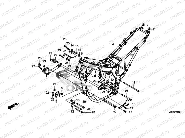 FRAME BODY