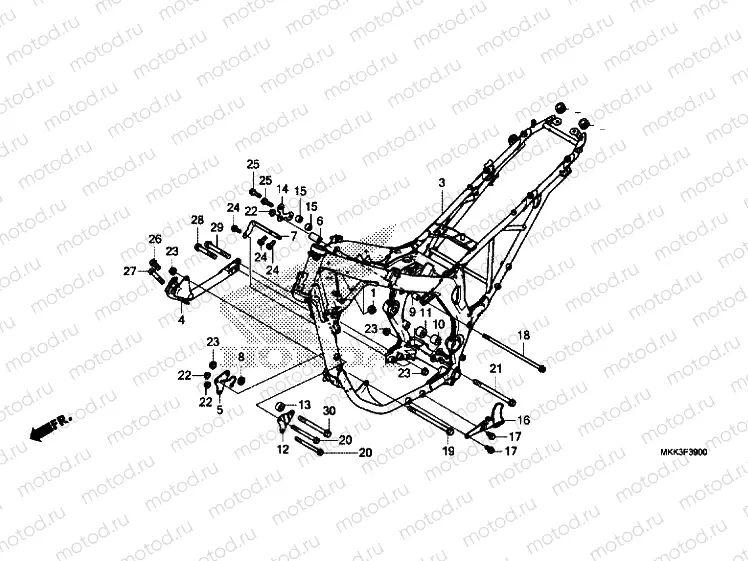 FRAME BODY