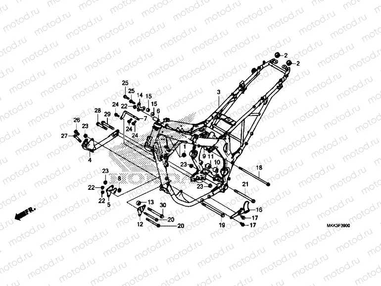 FRAME BODY