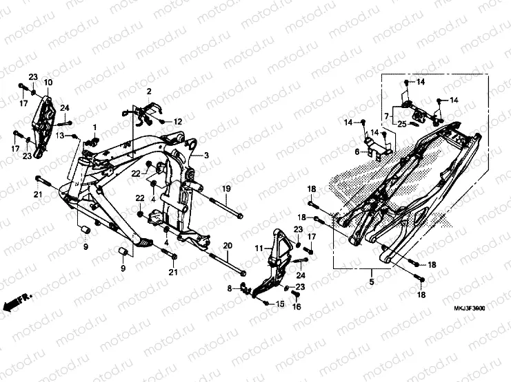FRAME BODY