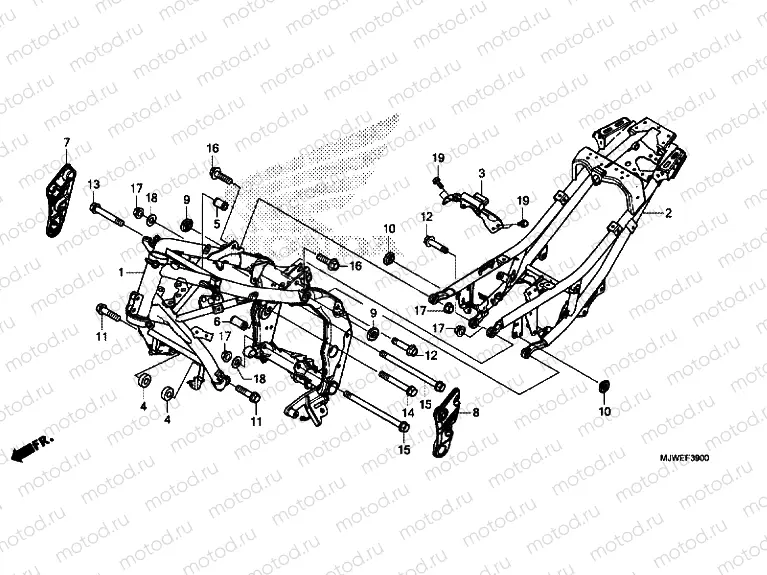 FRAME BODY
