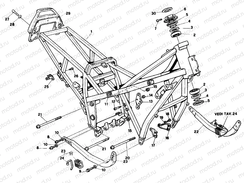 FRAME » FRAME