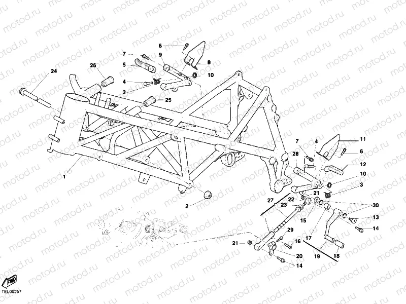 FRAME » FRAME