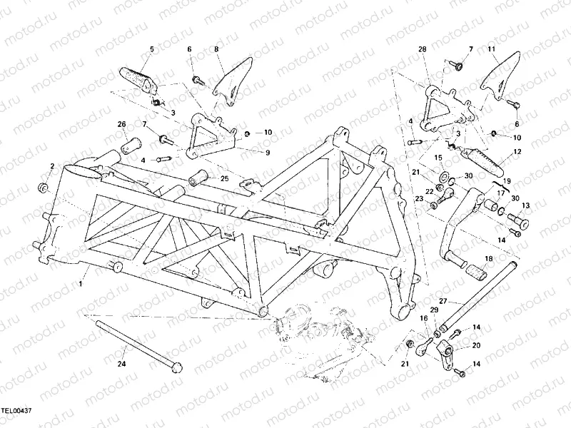 FRAME » FRAME