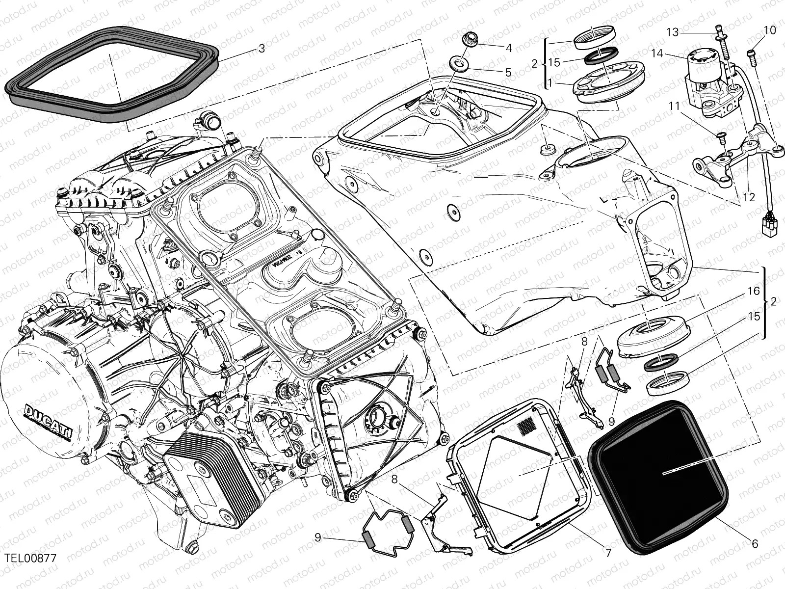 FRAME [MOD:1299;XST:AUS,EUR,FRA,JAP]