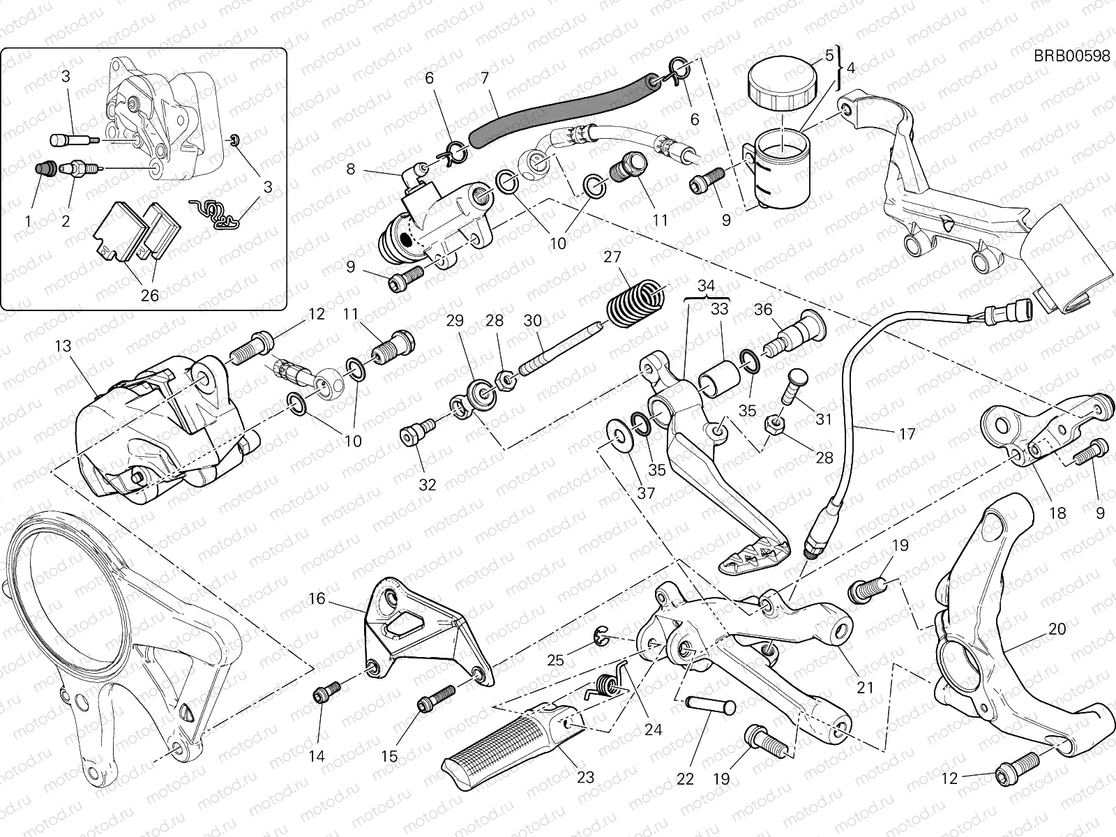 FRENO POSTERIORE [MOD:1299R FE]