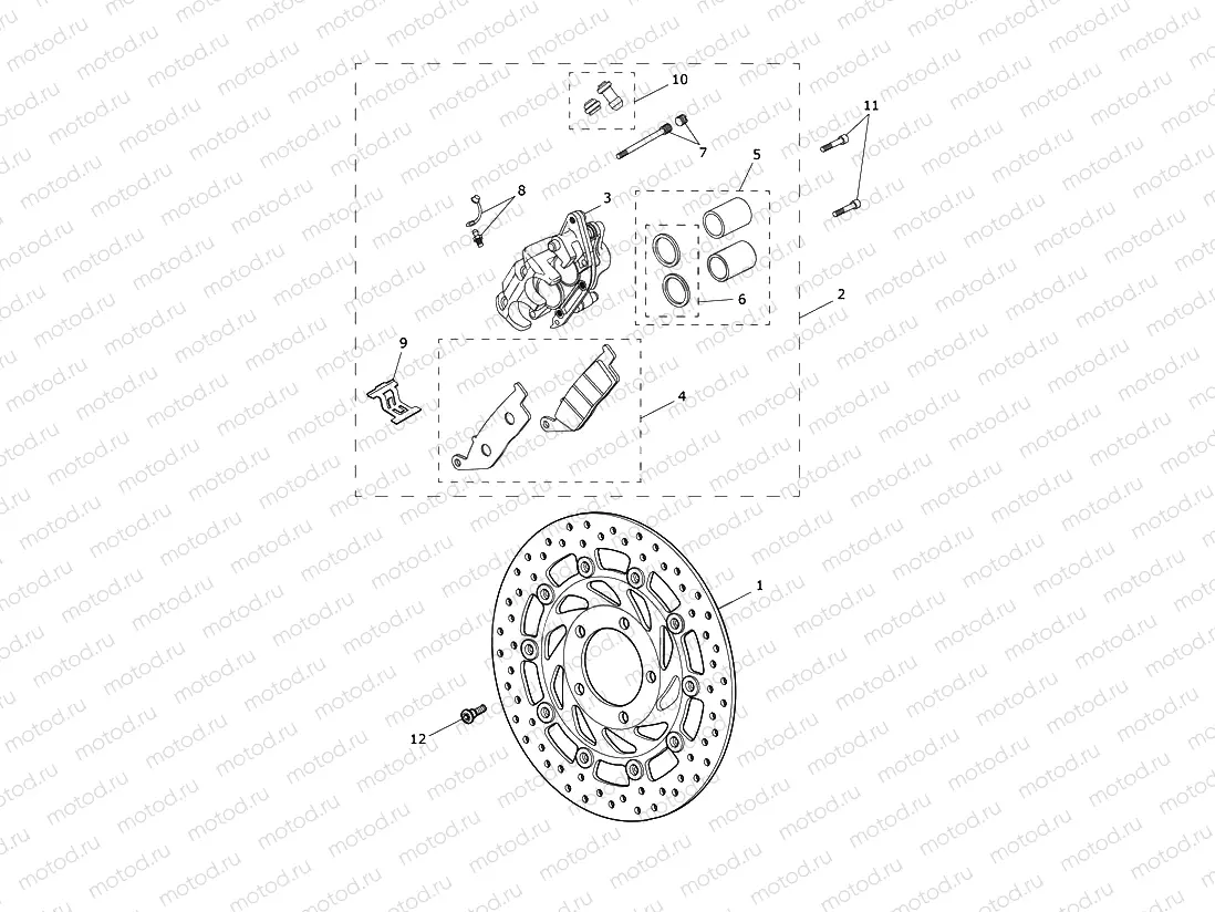 Front Brake Caliper & Disc