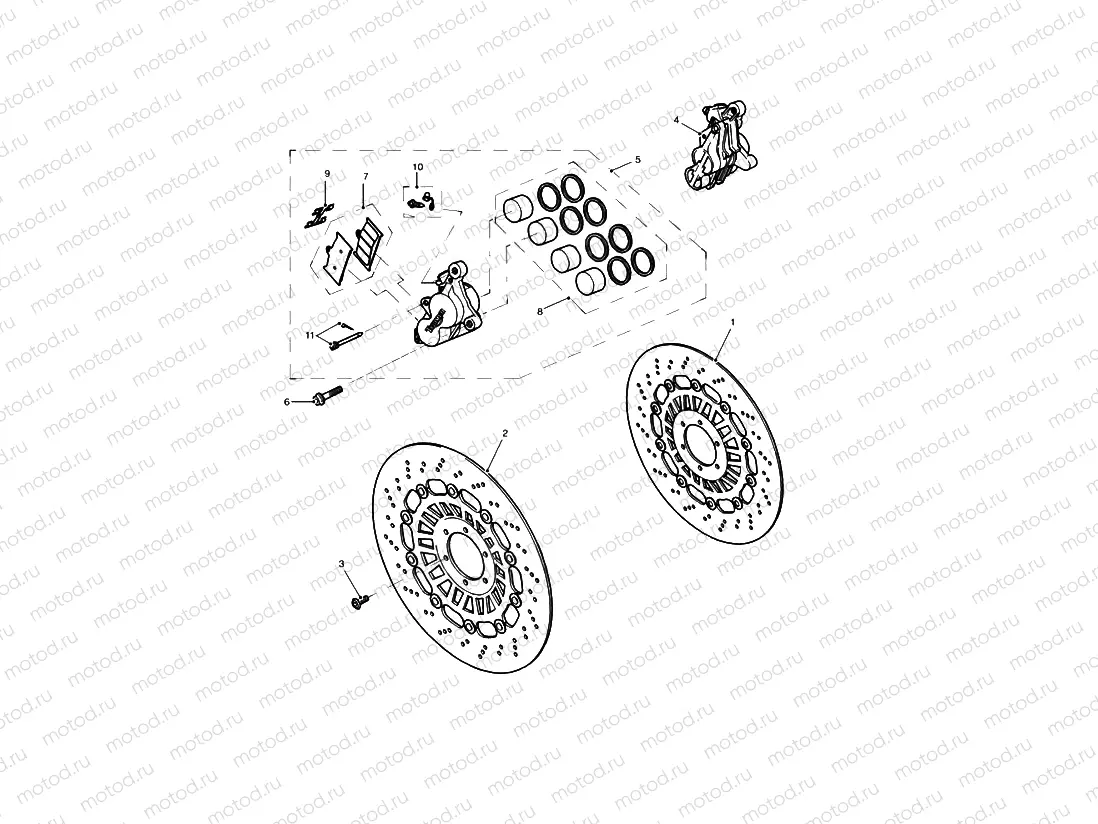 Front Brake Caliper & Discs