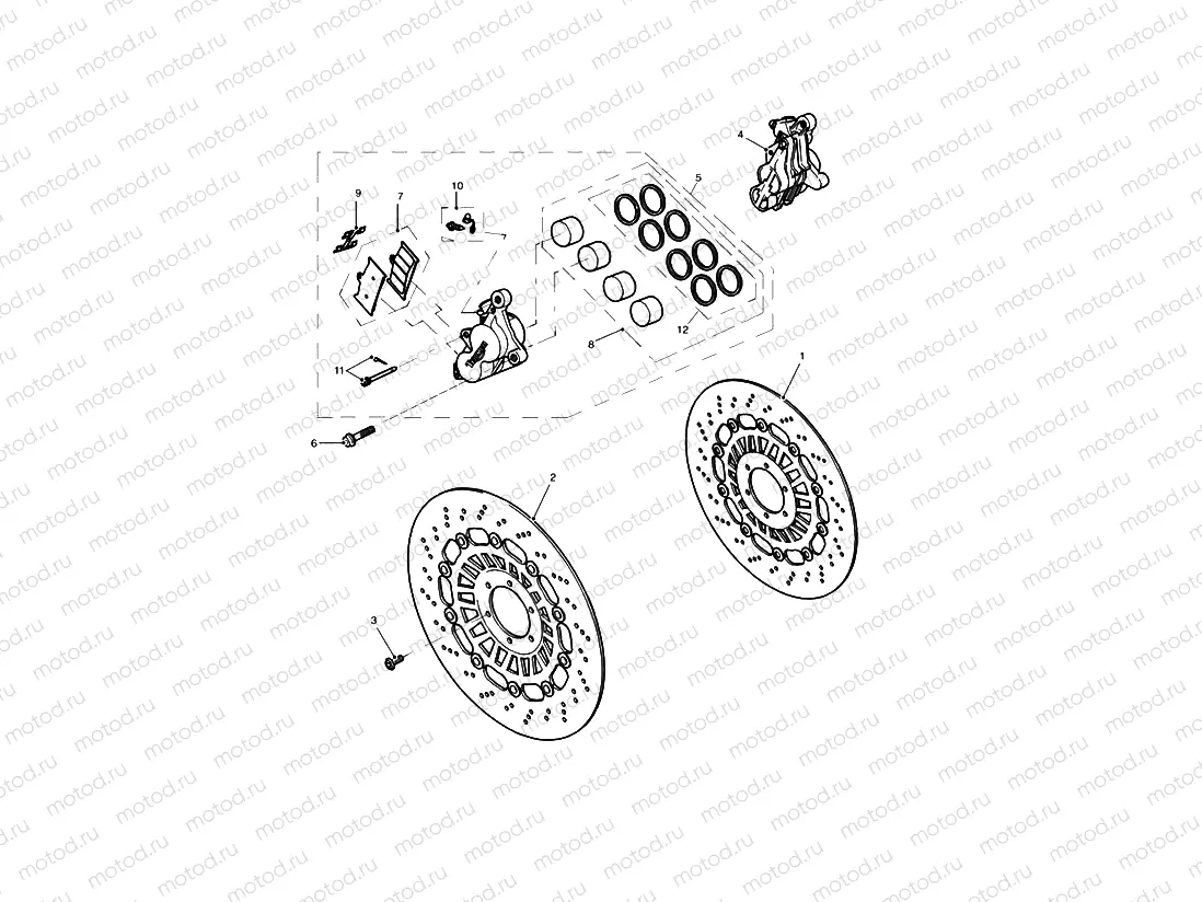 Front Brake Caliper & Discs