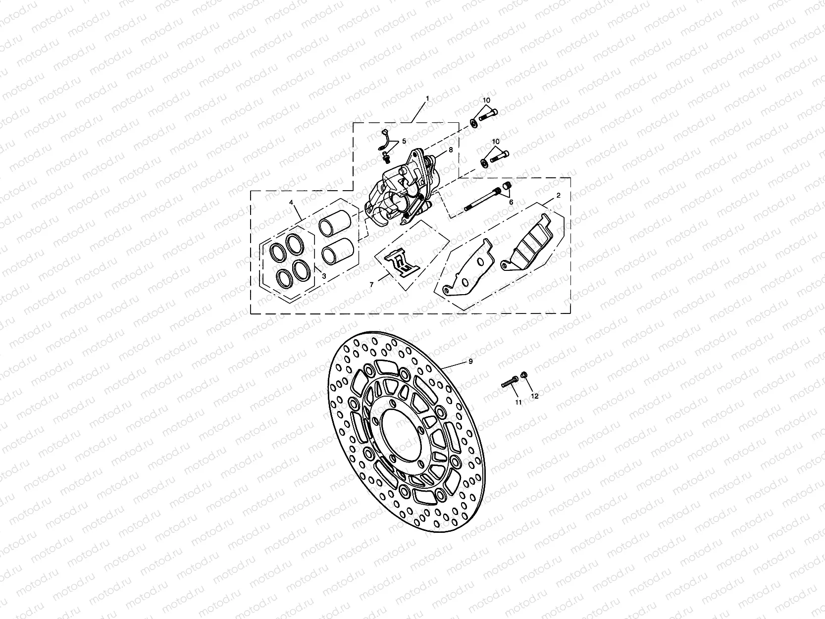 Front Brake Caliper & Discs