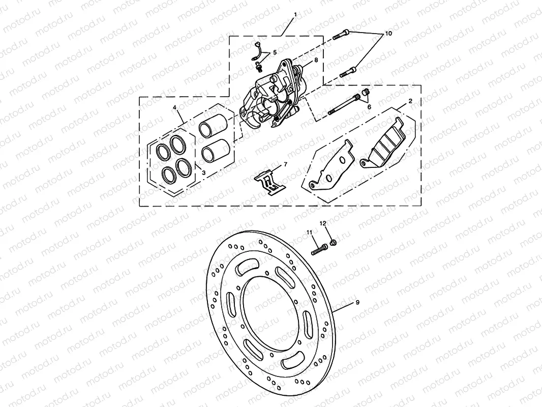 Front Brake Caliper & Discs