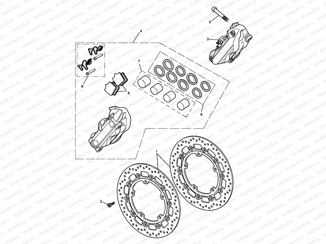 Front Brake Caliper & Discs