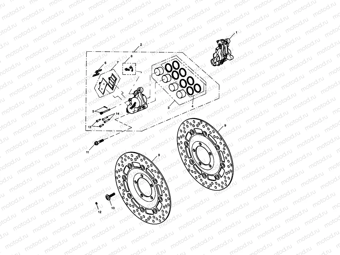 Front Brake Caliper & Discs