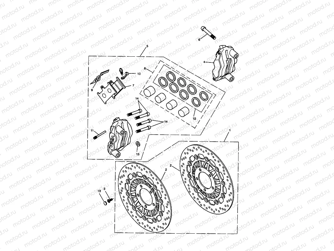Front Brake Caliper & Discs