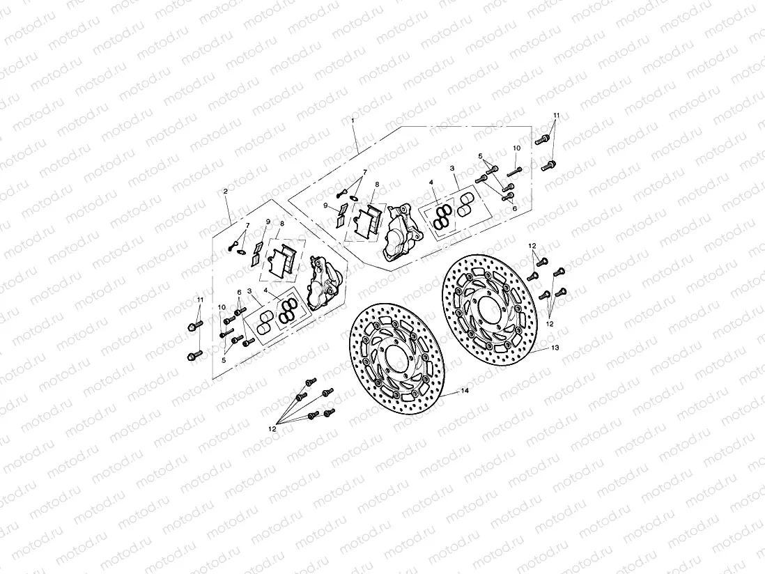 Front Brake Caliper & Discs