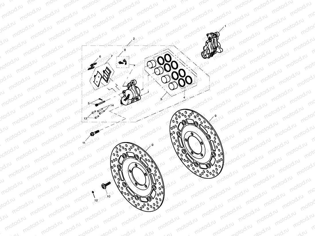 Front Brake Caliper & Discs