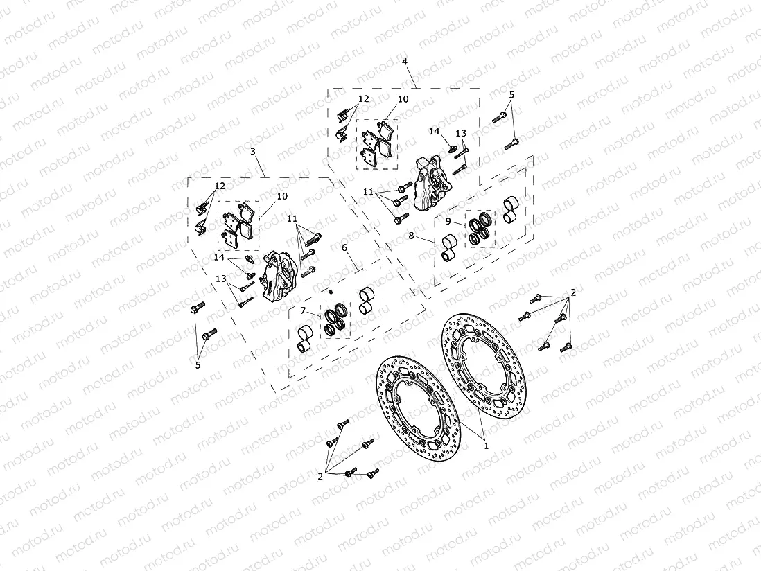 Front Brake Caliper & Discs