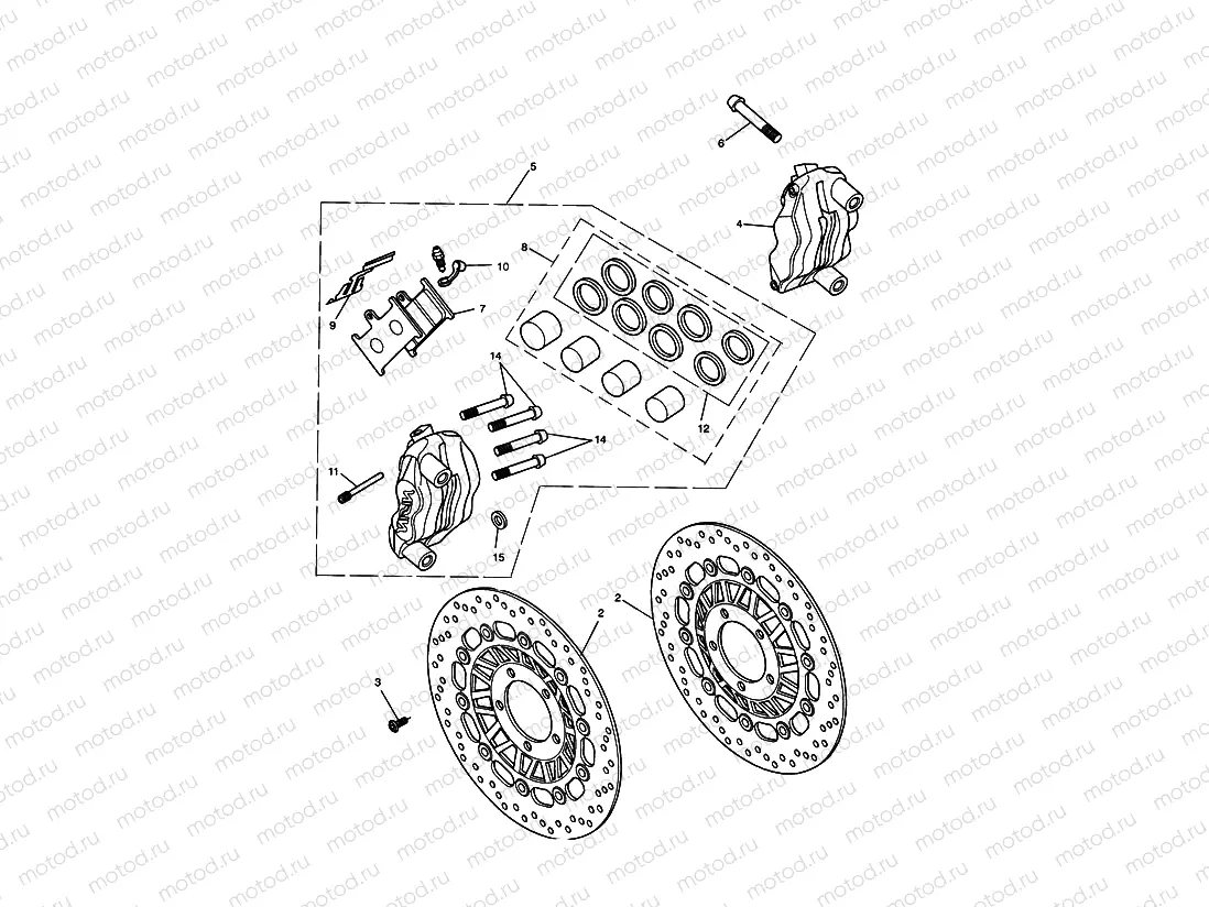 Front Brake Caliper & Discs