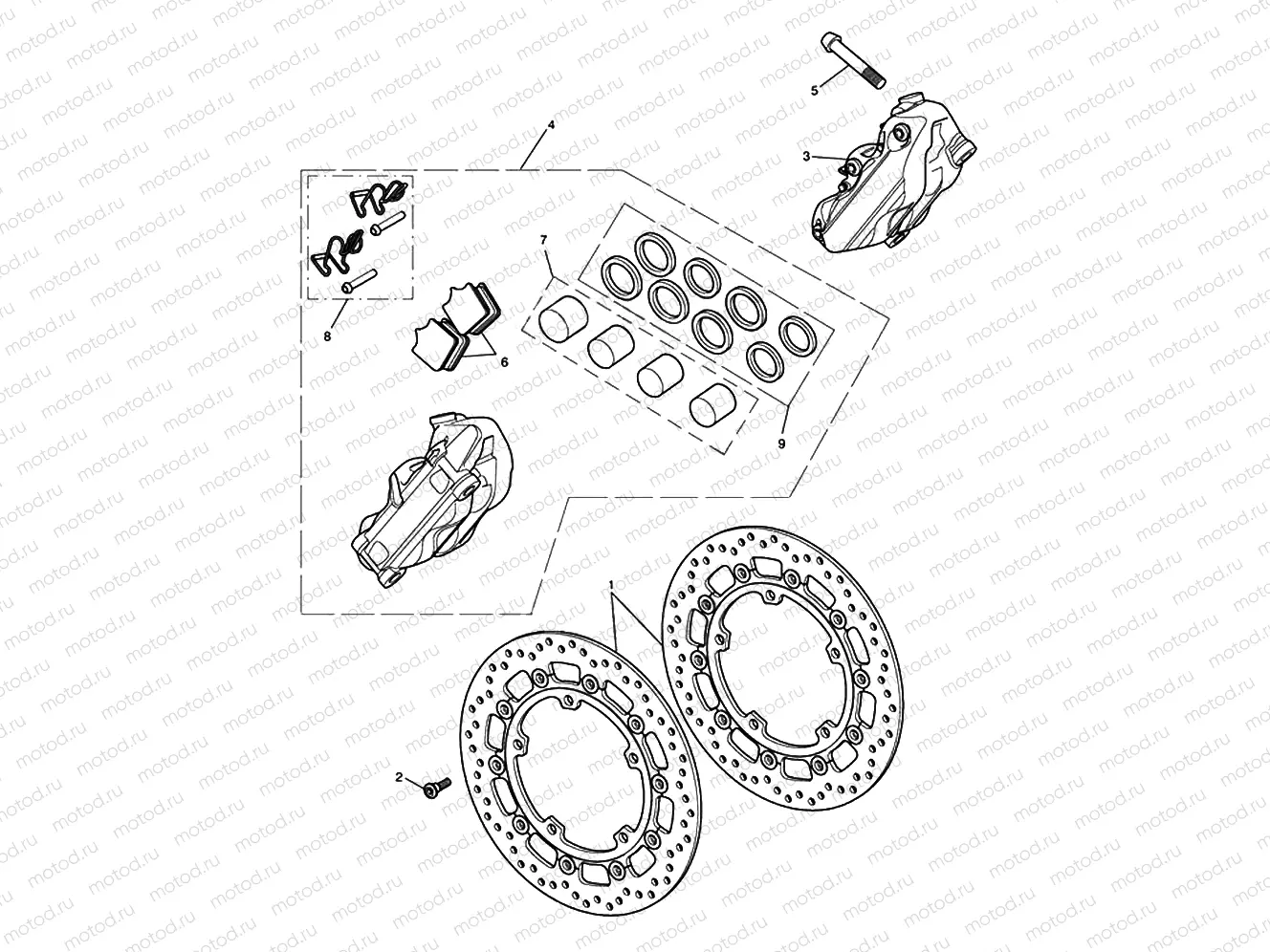 Front Brake Caliper & Discs