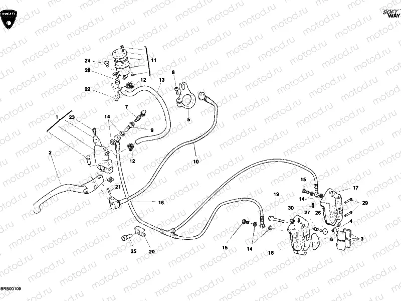 FRONT BRAKE SYSTEM » BRAKING SYSTEM