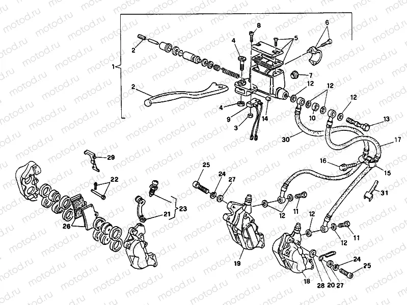 FRONT BRAKE SYSTEM DOUBLE DISC » BRAKING SYSTEM