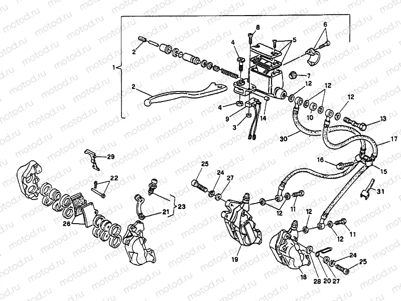 FRONT BRAKE SYSTEM DOUBLE DISC » BRAKING SYSTEM