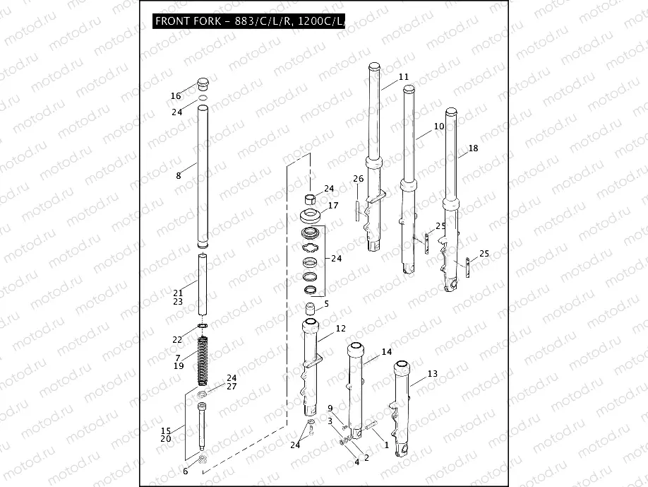 FRONT FORK - 883/C/L/R, 1200C/L/R