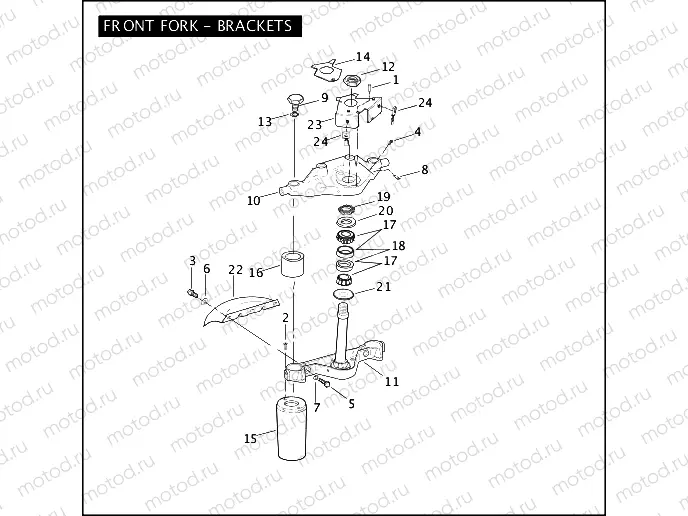 FRONT FORK - BRACKETS