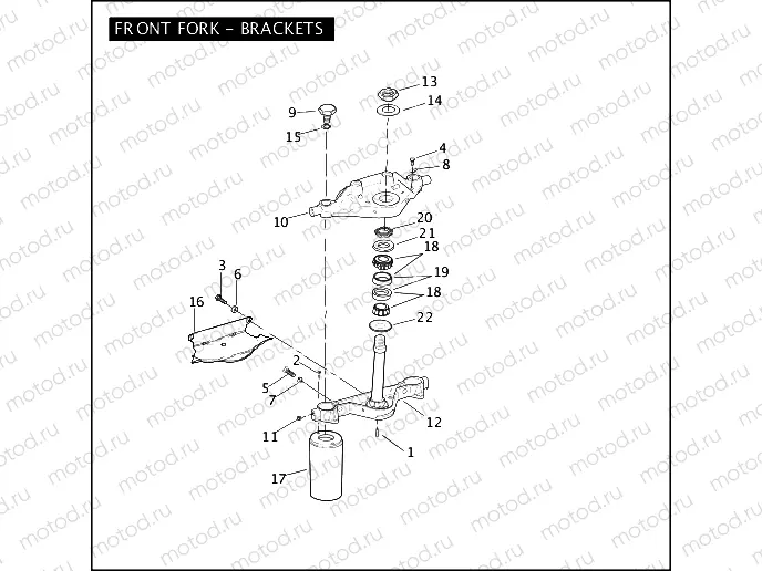 FRONT FORK - BRACKETS