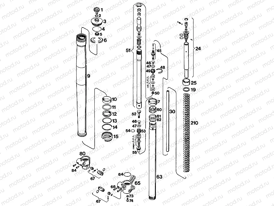 FRONT FORK DISASSEMBLED