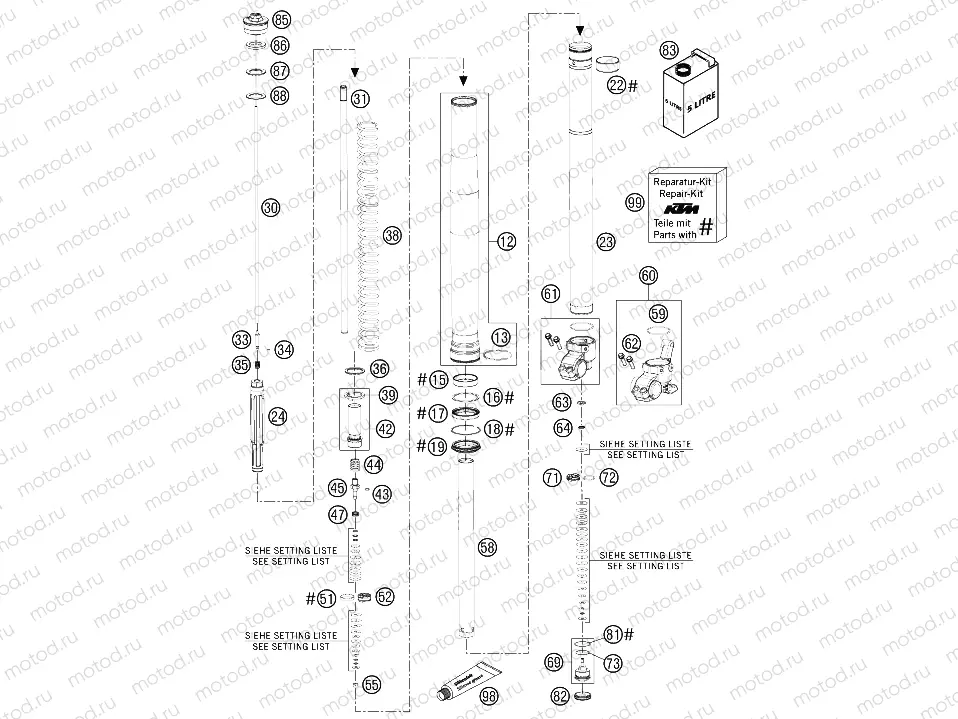 FRONT FORK DISASSEMBLED