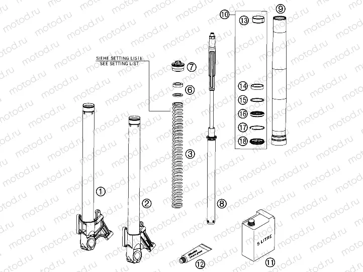 FRONT FORK DISASSEMBLED