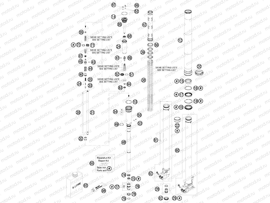 FRONT FORK DISASSEMBLED