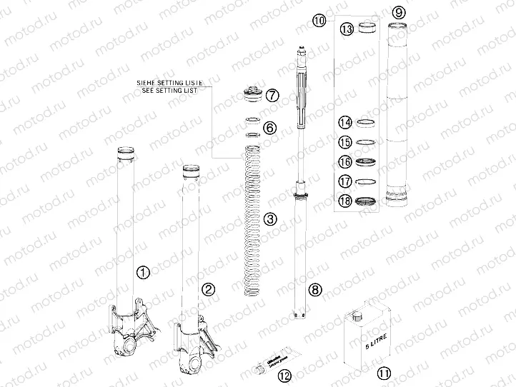 FRONT FORK DISASSEMBLED