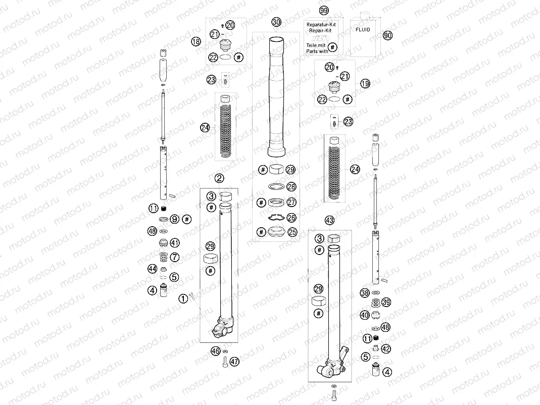 FRONT FORK DISASSEMBLED
