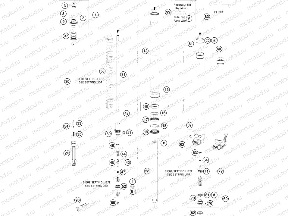 FRONT FORK DISASSEMBLED