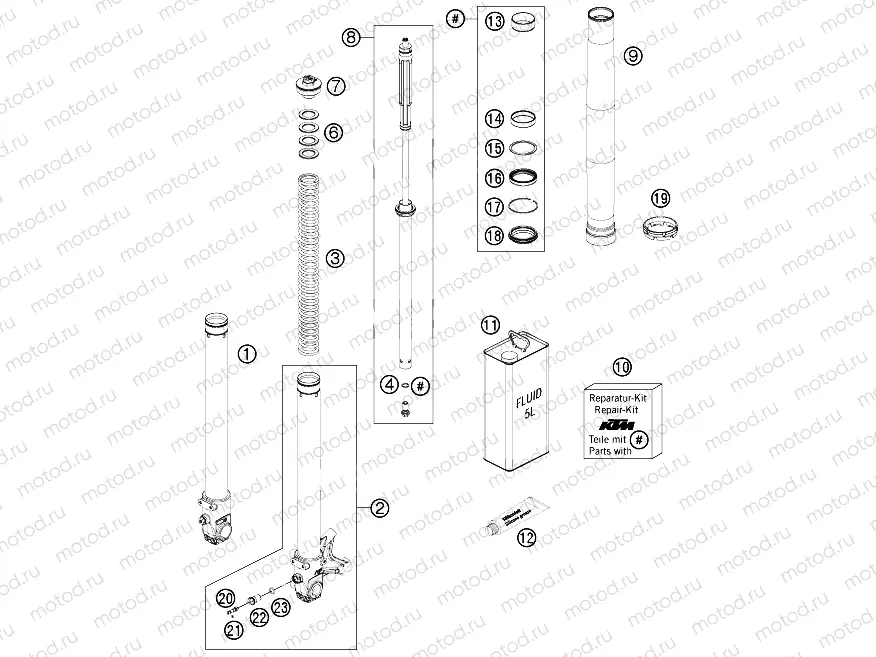 FRONT FORK DISASSEMBLED