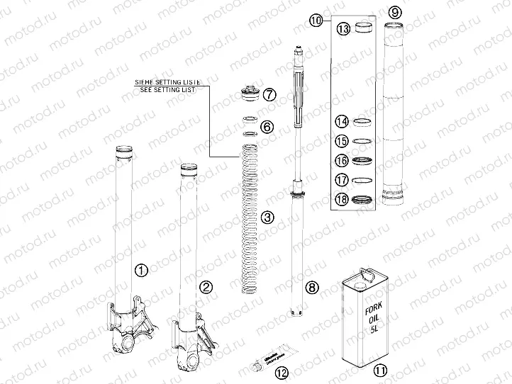 FRONT FORK DISASSEMBLED