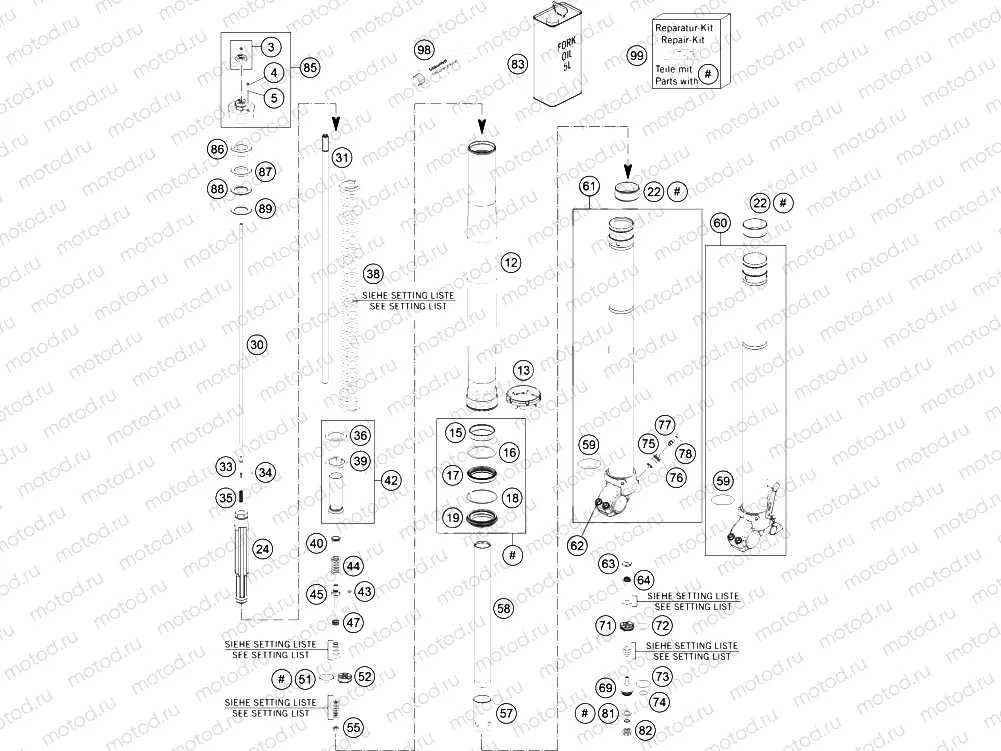 FRONT FORK DISASSEMBLED