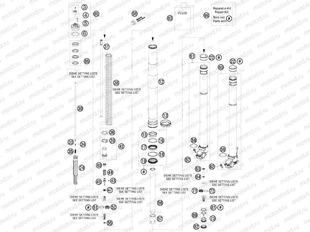 FRONT FORK DISASSEMBLED