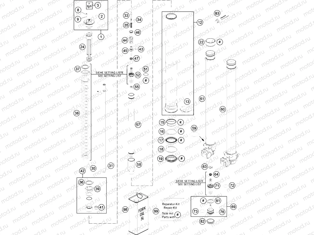 FRONT FORK DISASSEMBLED