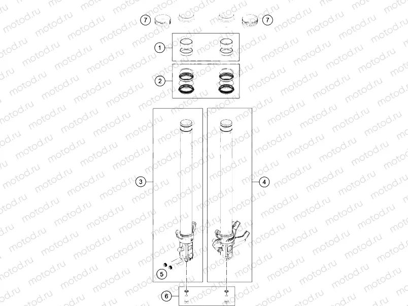 FRONT FORK DISASSEMBLED|Frame|01