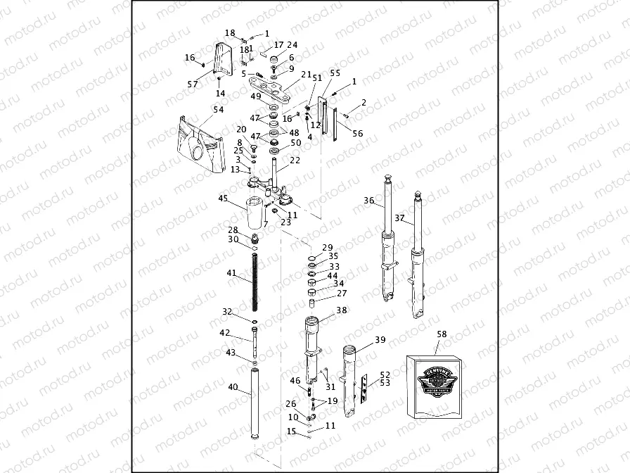 FRONT FORK - FLSTC/I & FLSTF/I (1 OF 2)