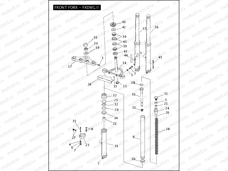FRONT FORK - FXDWG/I