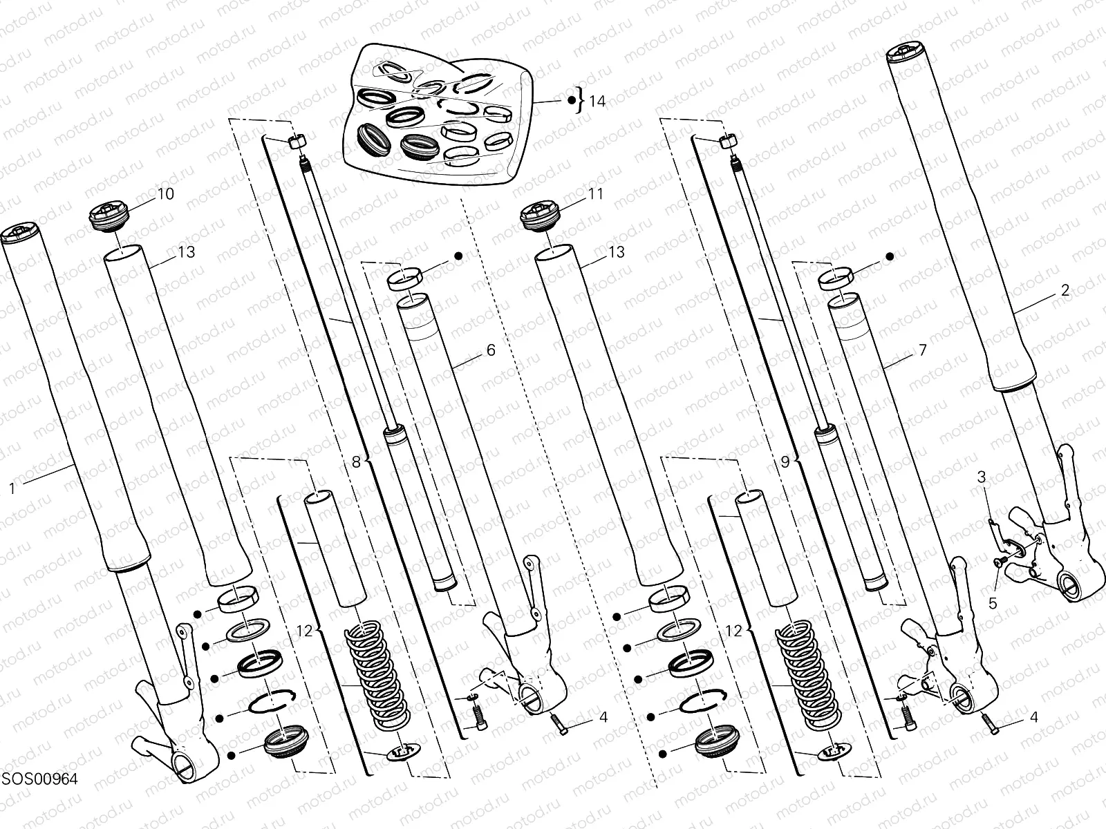 FRONT FORK [MOD:HYM RVE]