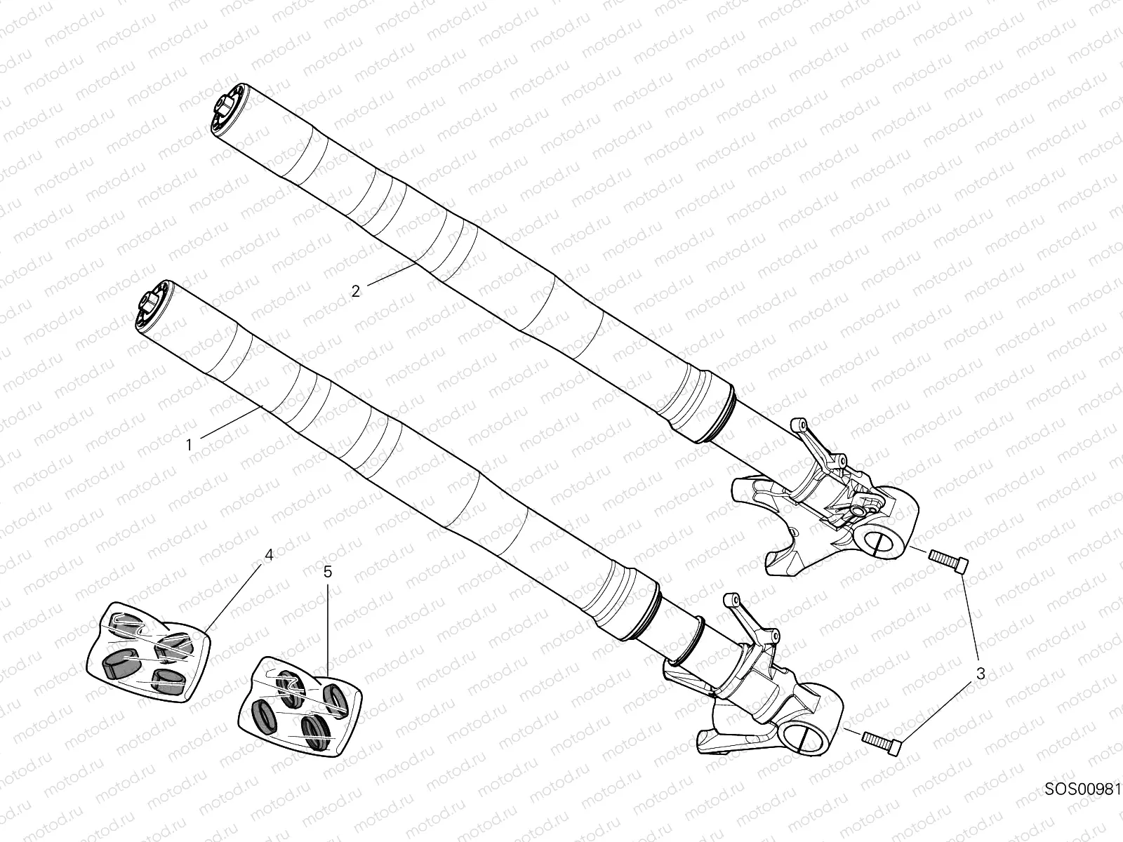 FRONT FORK [MOD:PANV4 R]