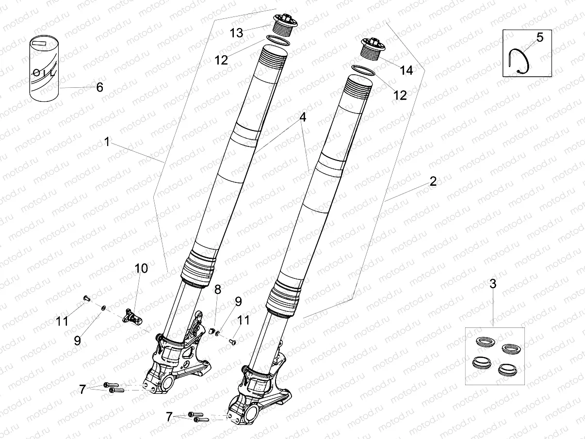 Front fork Ohlins