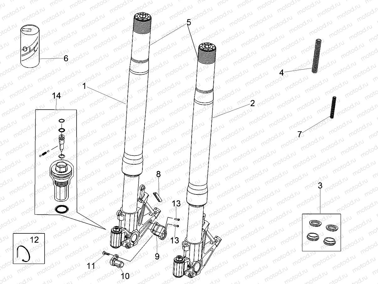 Front fork Ohlins